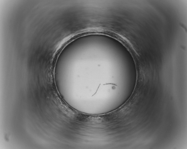 X0000102261168200808011358