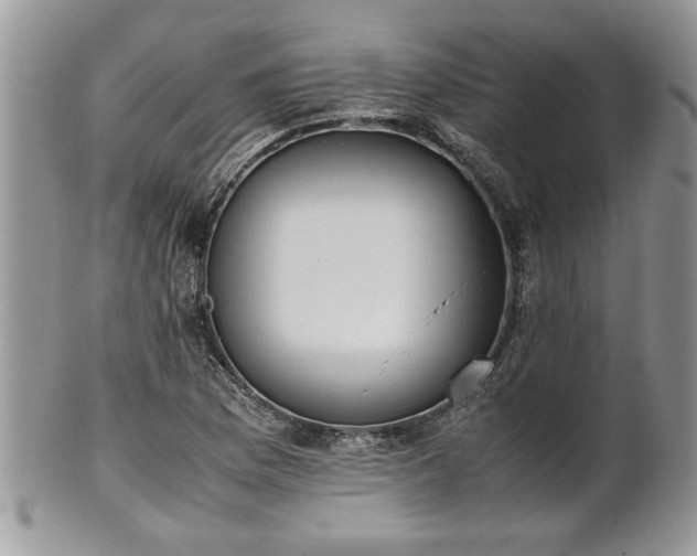 X0000102261169200808011358