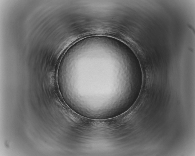 X0000102261170200808011358