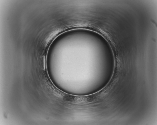 X0000102261171200808011358