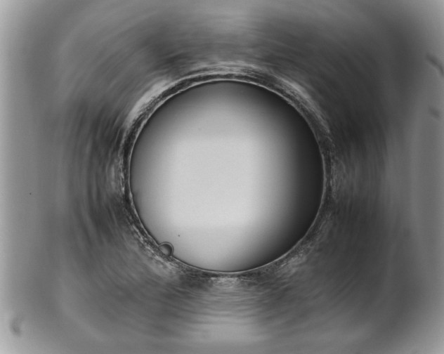 X0000102261172200808011358