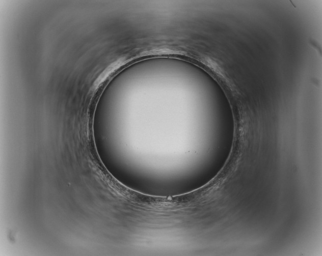 X0000102261173200808011358