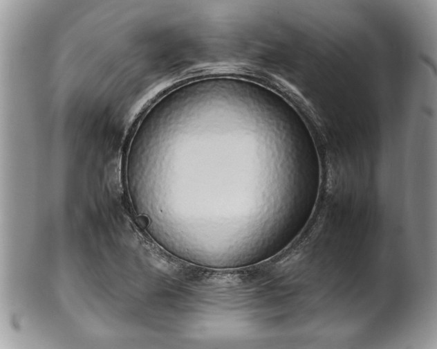 X0000102261174200808011358