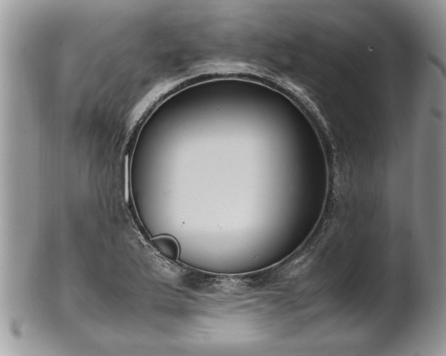 X0000102261175200808011358