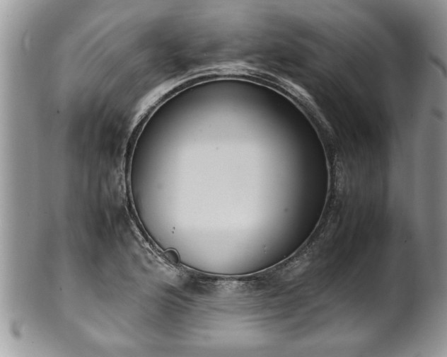 X0000102261176200808011357