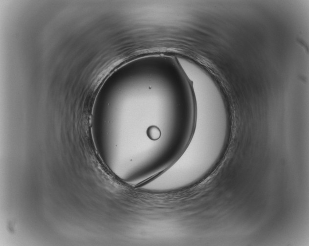 X0000102261177200808011357