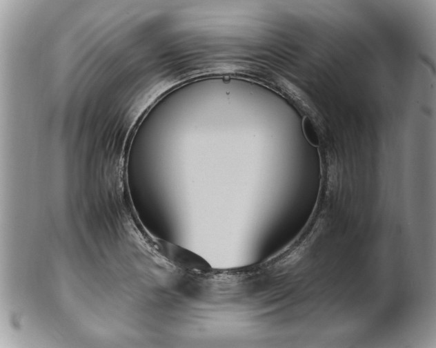 X0000102261178200808011357