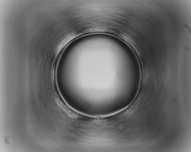 X0000102261179200808011357