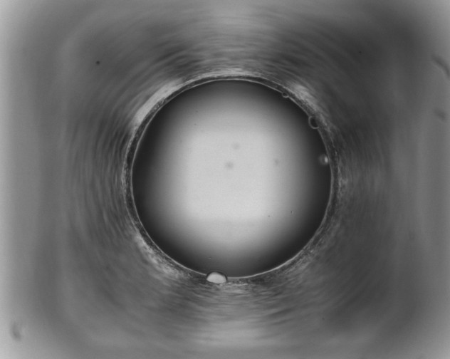 X0000102261181200808011357