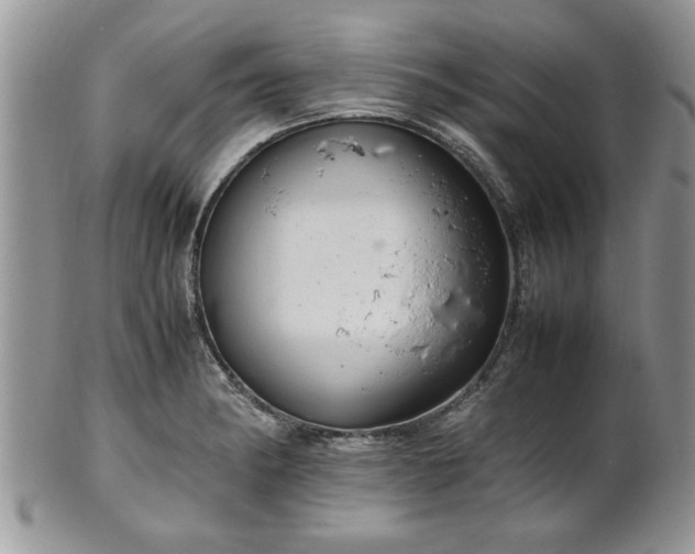 X0000102261182200808011357