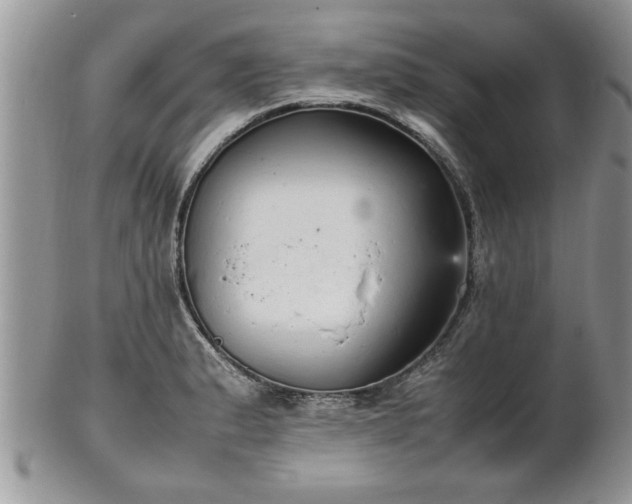 X0000102261183200808011357