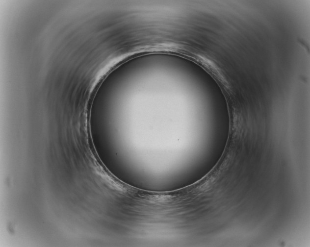 X0000102261184200808011357