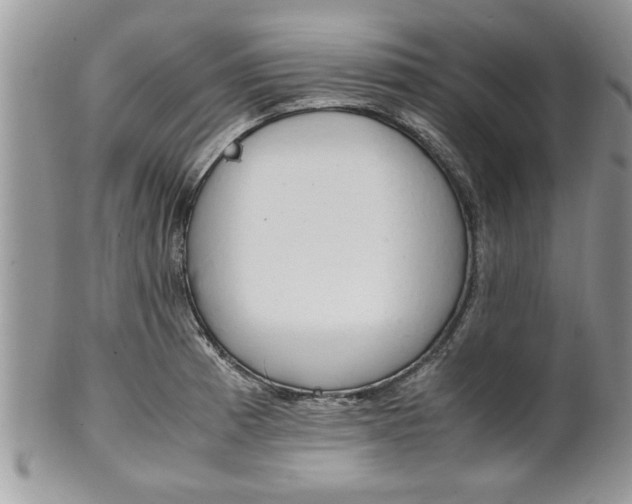 X0000102261185200808011357