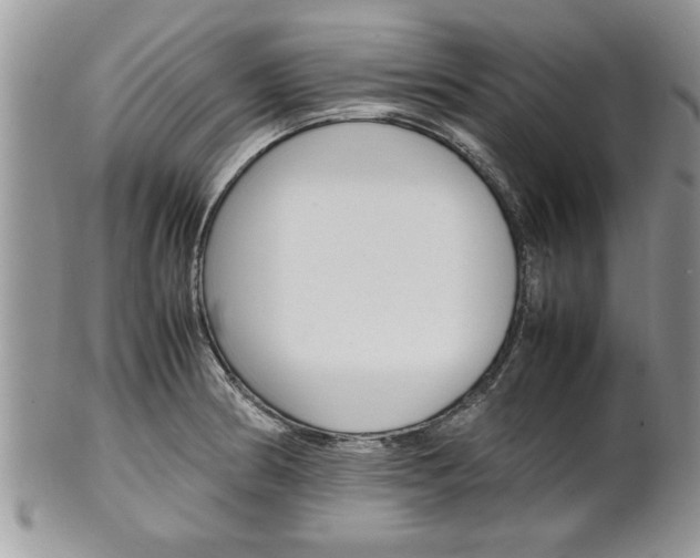 X0000102261186200808011357