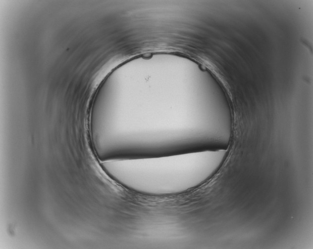 X0000102261187200808011357