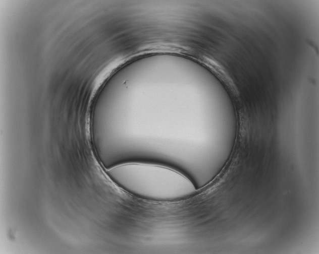 X0000102261188200808011357