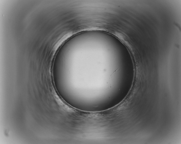 X0000102261189200808011357