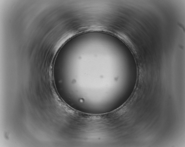 X0000102261190200808011357