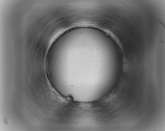 X0000102261191200808011357