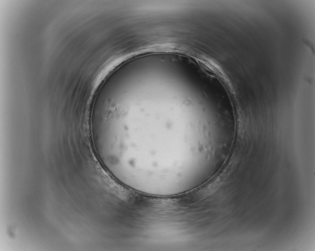 X0000102261192200808011357