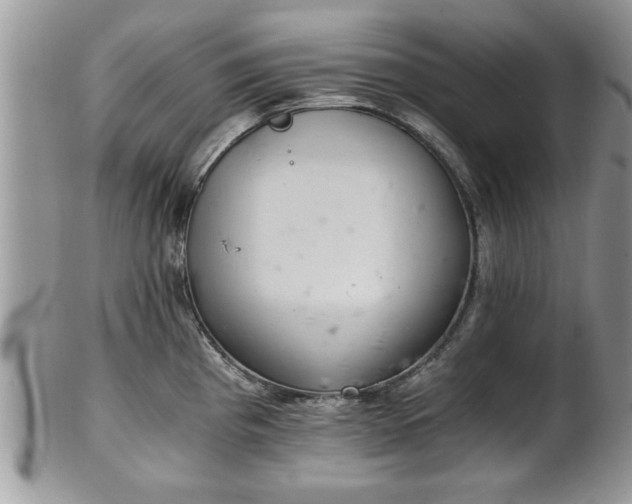 X0000102261193200808011357