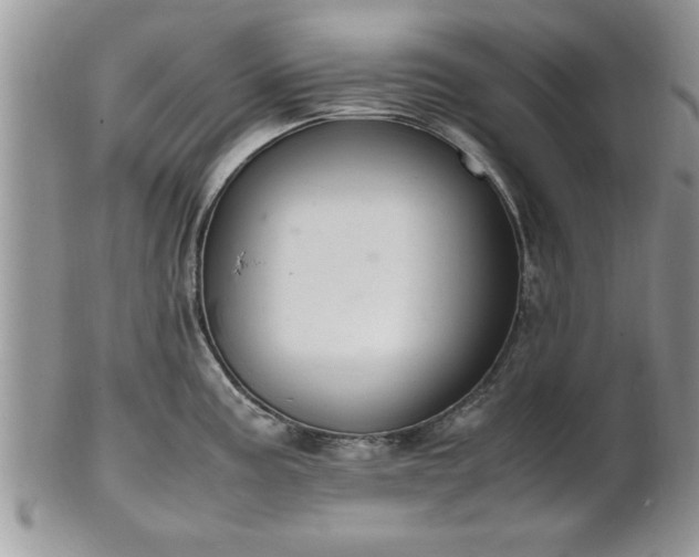 X0000102261195200808011357