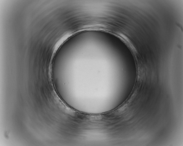 X0000102261196200808011357