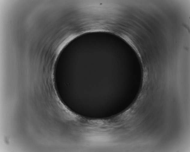 X0000102261197200808011357