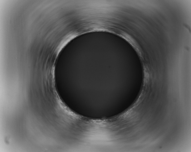 X0000102261198200808011357