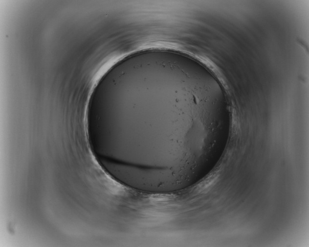 X0000102261199200808011357