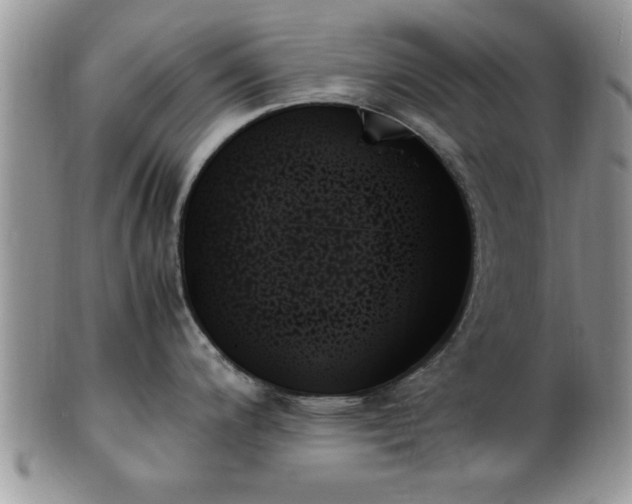 X0000102261200200808011357