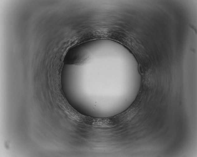 X0000102261201200808011356