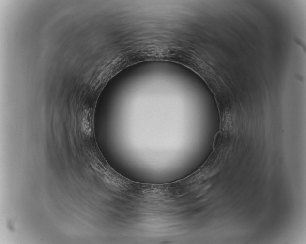 X0000102261202200808011356