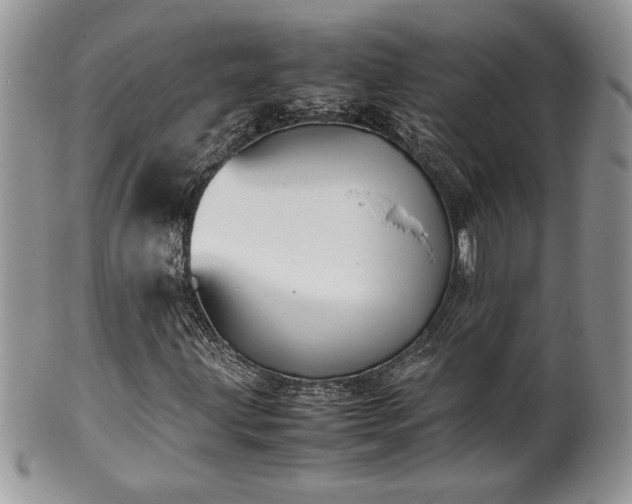 X0000102261203200808011356