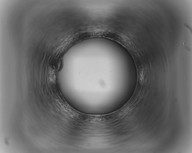 X0000102261204200808011356