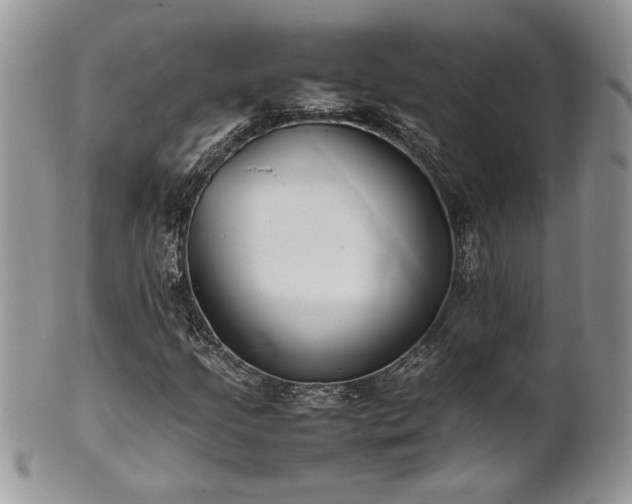 X0000102261205200808011356