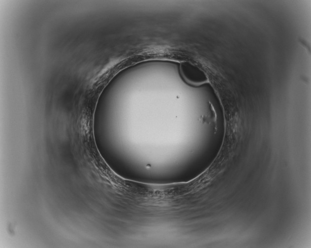 X0000102261206200808011356