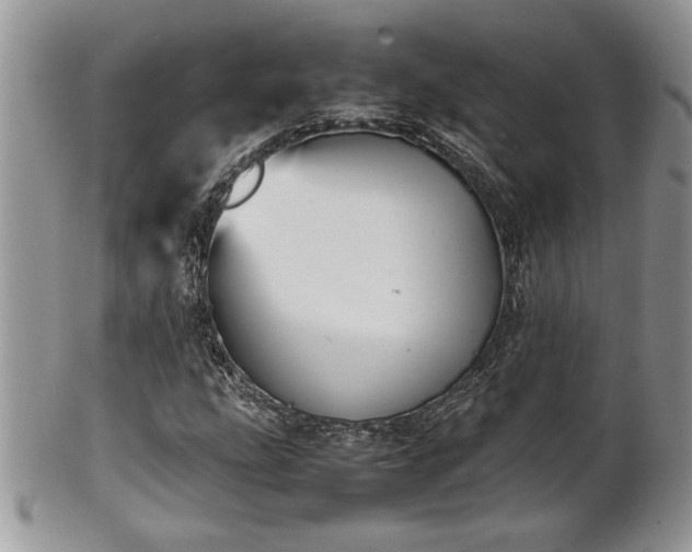 X0000102261207200808011356