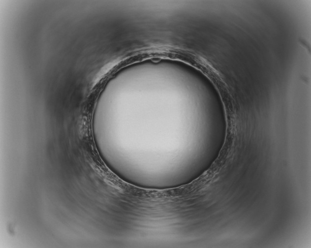 X0000102261208200808011356