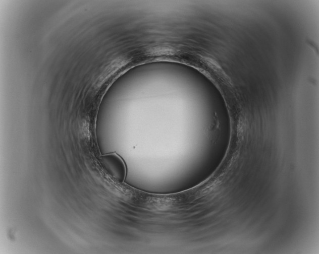 X0000102261209200808011356