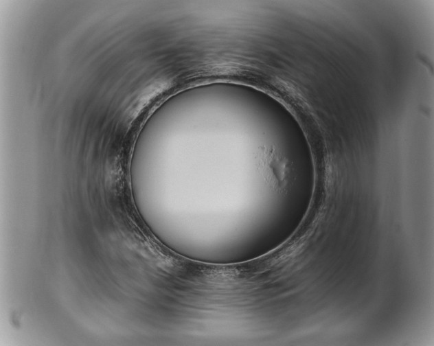 X0000102261210200808011356