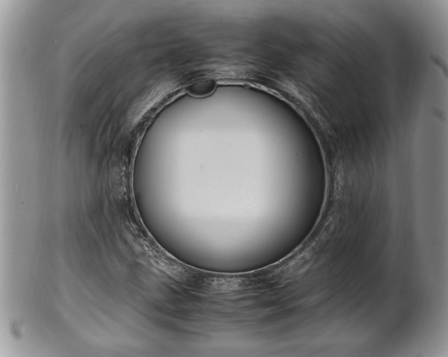 X0000102261211200808011356