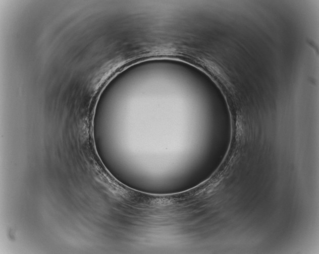 X0000102261212200808011356