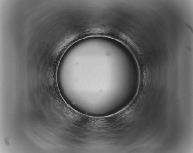 X0000102261213200808011356