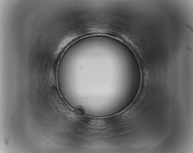 X0000102261215200808011357