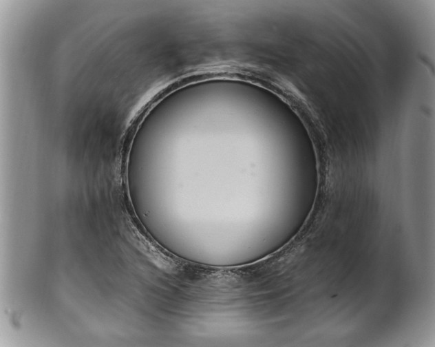 X0000102261216200808011357