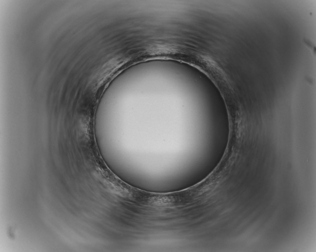 X0000102261217200808011357