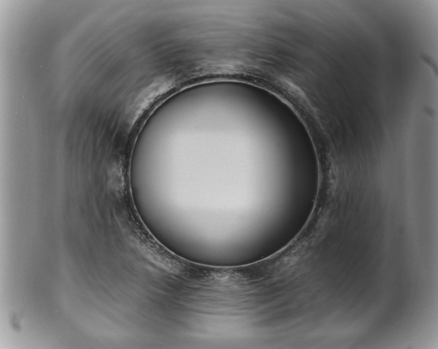 X0000102261218200808011357