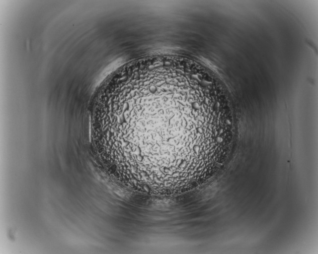 X0000102261219200808011357