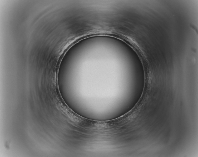 X0000102261220200808011357